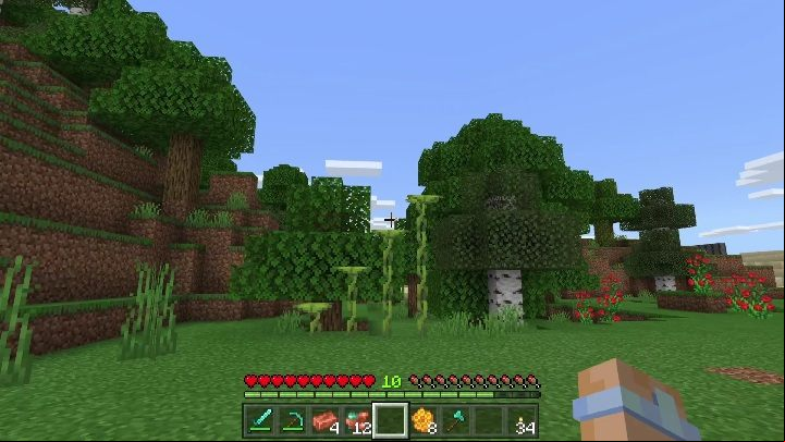Two types - large and small - Minecraft Caves & Cliffs: Dripleaf - how to acquire it? - Vegetation - Minecraft Guide