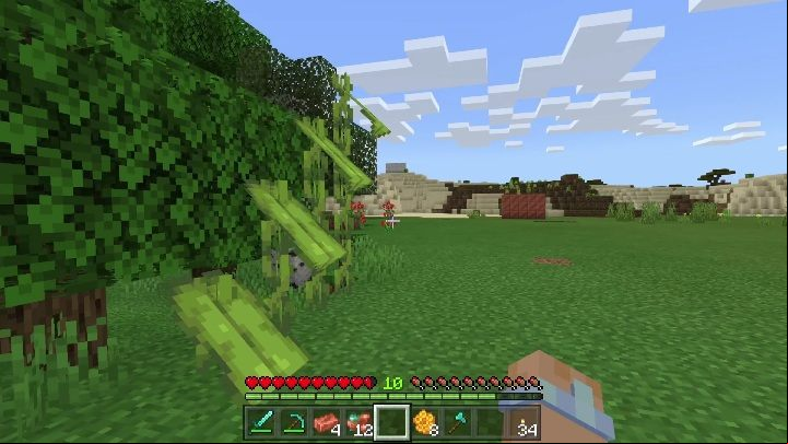 You will find dripleaves - Minecraft Caves & Cliffs: Dripleaf - how to acquire it? - Vegetation - Minecraft Guide