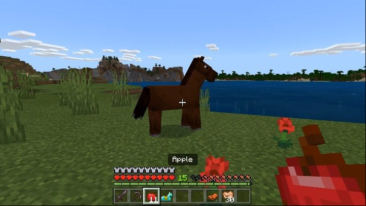 Horses can be found on plains or savannas - Minecraft: Tamable mobs - Mobs - creatures of the world - Minecraft Guide