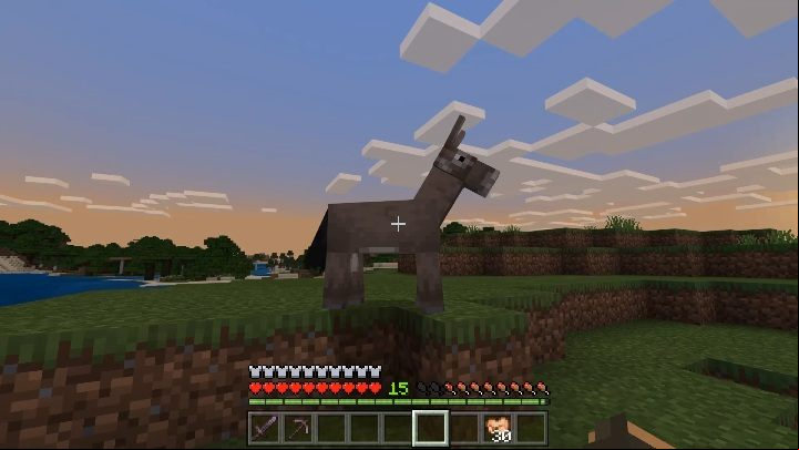 To tame a donkey you have to try to pet it or feed it wheat - Minecraft: Tamable mobs - Mobs - creatures of the world - Minecraft Guide