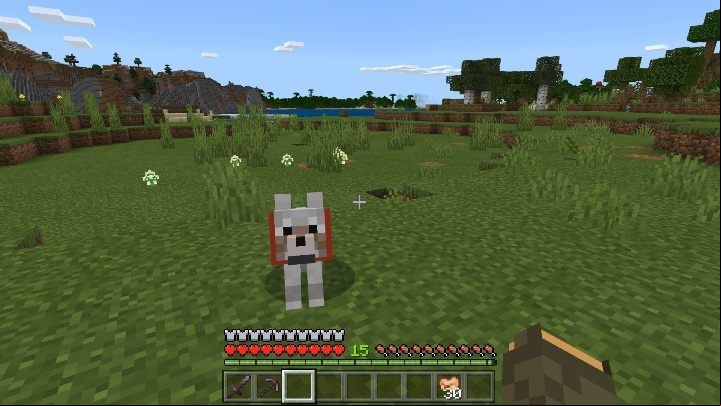 To tame a wolf give it a bone - Minecraft: Tamable mobs - Mobs - creatures of the world - Minecraft Guide