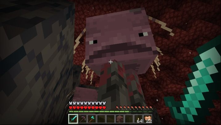 Striders only appear in Nether, near lava reservoirs - Minecraft: Strider, Nether Update - whats new? - Minecraft Nether Update - Minecraft Guide