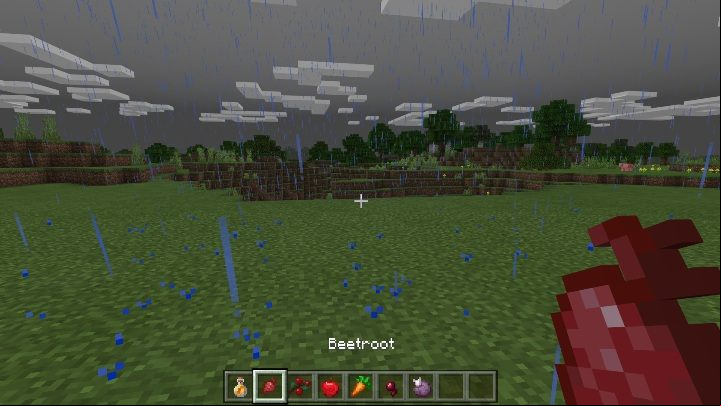 Beetroots restore 1 hunger point - Minecraft: Food - recipes, list, crafting - Recipes - Minecraft Guide