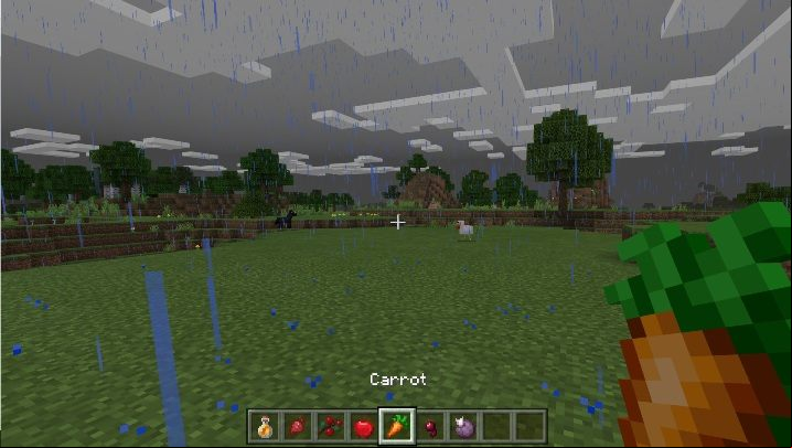 Carrots restore 2 hunger points - Minecraft: Food - recipes, list, crafting - Recipes - Minecraft Guide