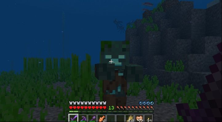 Drowned resemble zombies - Minecraft: Drowned, Update Aquatic - Update Aquatic - Minecraft Guide