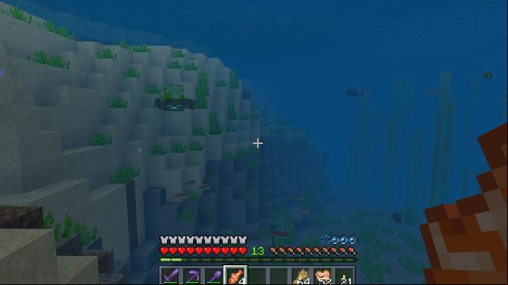 During the day, Drowned move in water reservoirs - Minecraft: Drowned, Update Aquatic - Update Aquatic - Minecraft Guide