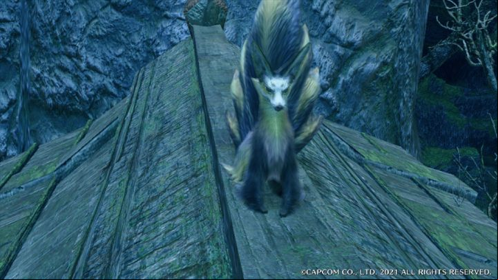The Snow-faced Fox appears only at night in the temple ruins - Monster Hunter Rise: Snow-faced Fox - how to find? - Fighting & Hunting - Monster Hunter Rise Guide
