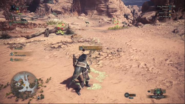 You have to find monsters tracks. - Tracking a monster in Monster Hunter World - Hunting - Monster Hunter World Game Guide