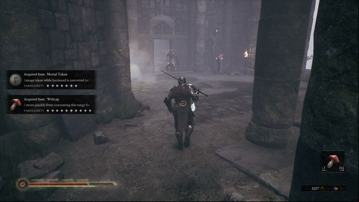 Deal with him by attacking him from behind - Mortal Shell: Shrine of Ash walkthrough - Walkthrough - Mortal Shell Guide, Walkthrough