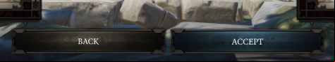 After you have performed all of the above actions, you have to accept them - Character creation in Divinity Original Sin 2 - Party - Divinity Original Sin 2 Guide