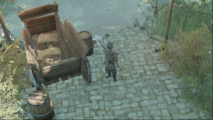 Zaleksar can be found in Hollow Marshes - Sebille quest companion quest | Companion quests - Companion quests - Divinity Original Sin 2 Guide