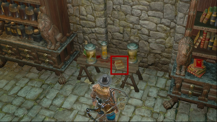 Take the documents and go back to Paladin Warden - The Missing Prisoners | Arx - Chapter VI - Arx - Divinity Original Sin 2 Guide