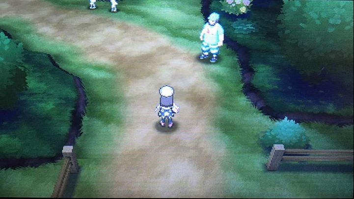 I keep wondering what I will find on Route 5 - Route 5, Brooklet Hill, Route 6 and Battle Royal Dome | Walkthrough - Game walkthrough - Pokemon Moon Game Guide