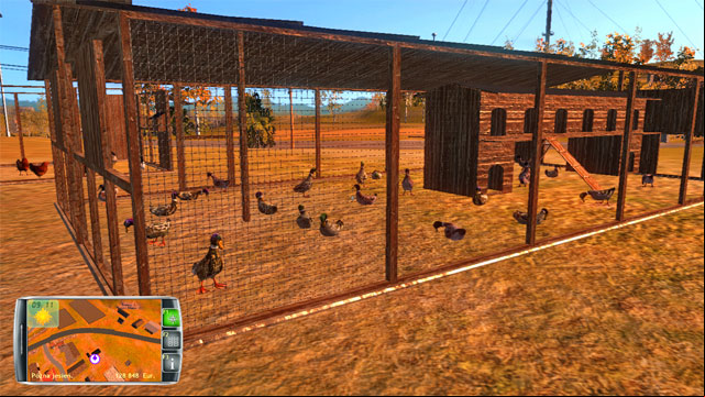 Ducks are kept in a cage. - Animal keeping - Farm development - Professional Farmer 2014 - Game Guide and Walkthrough