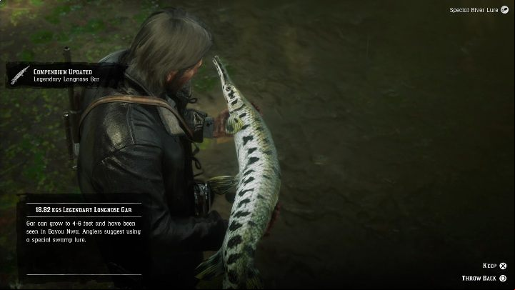 1 - Red Dead Redemption 2: Legendary Longnose Gar - maps, tips - Legendary fish - Red Dead Redemption 2 Guide
