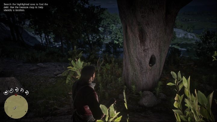 All you need to do is to get to that area and you will see a big tree with a cavity in it - Red Dead Redemption 2: Chicks Treasure Map - how to get the treasure? - Treasure Maps - Red Dead Redemption 2 Guide