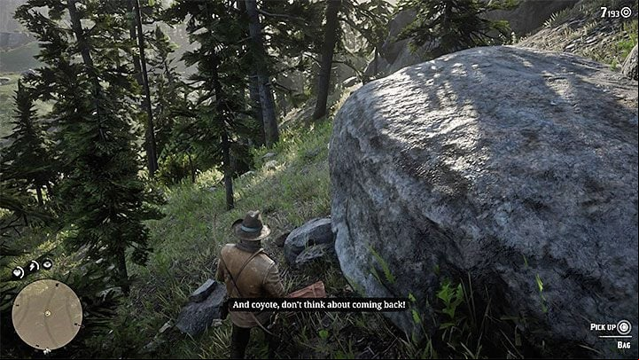 Talk to Mason, who takes pictures of the animals - Red Dead Redemption 2: Arcadia for Amateurs - walkthrough, map - Side quests - Red Dead Redemption 2 Guide