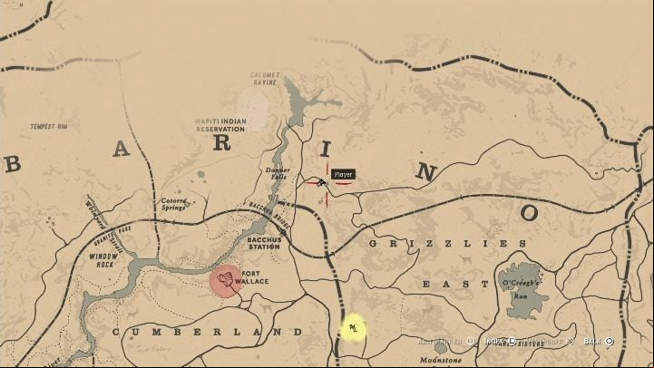 The cave is in Ambarino region, in the western part of it, near the river - Red Dead Redemption 2: The Strange Statues Puzzle guide - map, tips - Secrets and collectibles - Red Dead Redemption 2 Guide