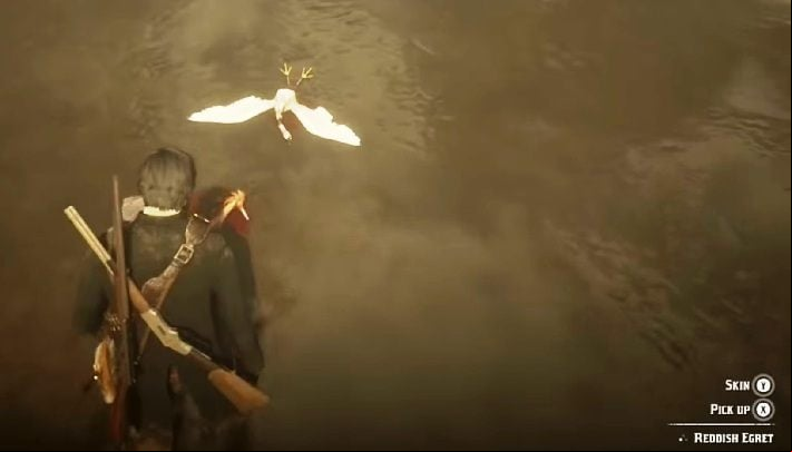 5 Snowy Egret Plumes - in the area marked on the screen above you should come across white herons - Red Dead Redemption 2: Exotic items - all jobs, maps, locations, tips - Secrets and collectibles - Red Dead Redemption 2 Guide