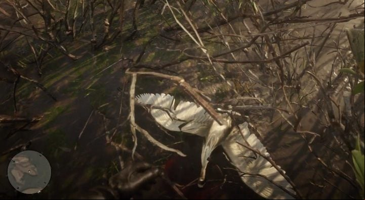 5 Little Egret Plumes - in the area marked on the screen above you should come across little egrets - Red Dead Redemption 2: Exotic items - all jobs, maps, locations, tips - Secrets and collectibles - Red Dead Redemption 2 Guide