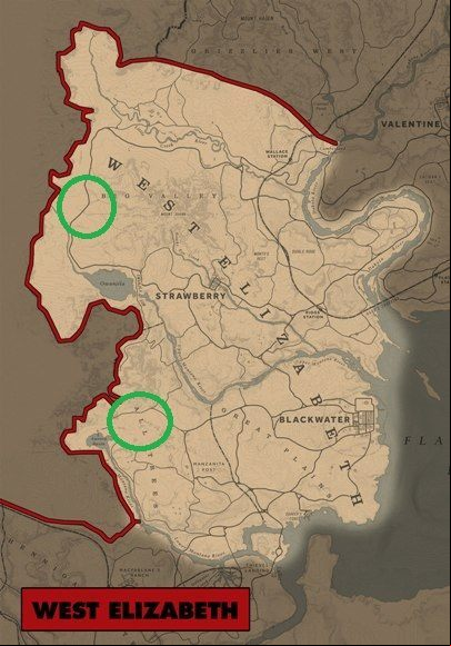 7 Lady Slipper Orchids - flowers with pink petals - Red Dead Redemption 2: Exotic items - all jobs, maps, locations, tips - Secrets and collectibles - Red Dead Redemption 2 Guide