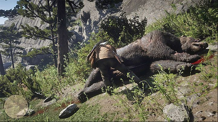Regardless of the method, dont forget to skin the bear - Red Dead Redemption 2: Legendary bear - how to kill it? - Hunting and wild animals - Red Dead Redemption 2 Guide