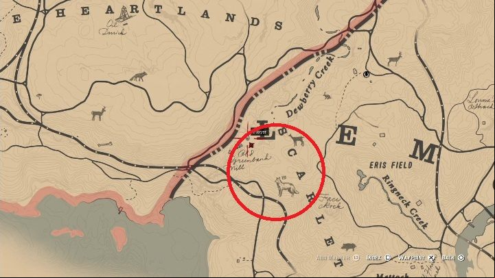 The coyote moves within the area marked on the screen above - Red Dead Redemption 2: Legendary Coyote - maps, tips - Legendary Animals - Red Dead Redemption 2 Guide