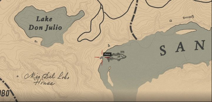 The fish is in San Luis River - Red Dead Redemption 2: Legendary Largemouth Bass - maps, tips - Legendary fish - Red Dead Redemption 2 Guide
