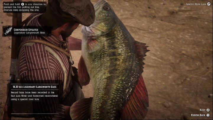 This legendary fish is huge - you cant put it into your inventory - Red Dead Redemption 2: Legendary Largemouth Bass - maps, tips - Legendary fish - Red Dead Redemption 2 Guide