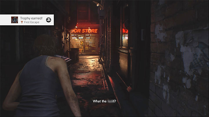 Trophy type: bronze - Resident Evil 3: Trophy guide - Appendix - Resident Evil 3 Guide