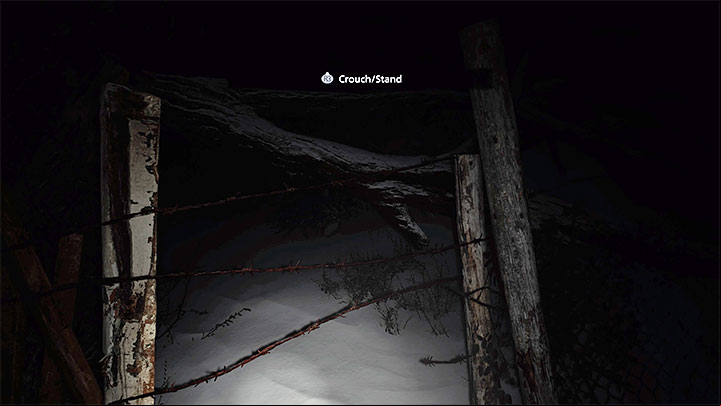 After completing the prologue, Ethan will wake up in a dark forest - Resident Evil Village: Some Forest - solution, walkthrough - Village - 1st visit - Resident Evil Village Guide