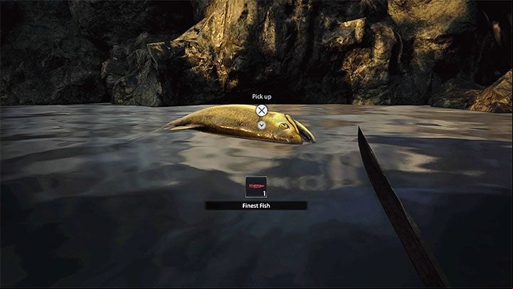 You have to kill the goldfish - you can use for example a gun or a knife for this - Resident Evil Village: Finest Fish ingredient - how to get it? - FAQ - Resident Evil Village Guide