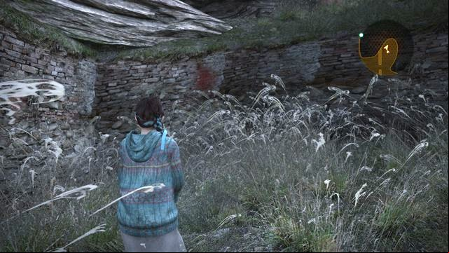 While leaving the village, you open the gate (the one that Neil opens for Claire and Moira) - Insect larvae (Natalie) - Contemplation | Emblems - Episode 2 - Contemplation - Tower emblems - Resident Evil: Revelations 2 Game Guide