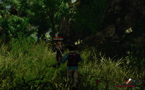 Look around for animals - Venturo will help you eliminate them. - Follow Venturo to the City - The Sword Coast - Quests - Risen 2: Dark Waters - Game Guide and Walkthrough