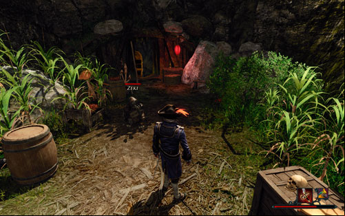 Gnomes are surprisingly friendly creatures. - The Cunning Captain - The Sword Coast - Quests - Risen 2: Dark Waters - Game Guide and Walkthrough