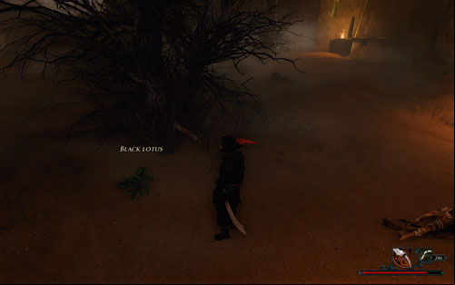It's better to start the search during the day - it's hard to see anything in the dark. - Steelbeards Ghost - The Sword Coast - Quests - Risen 2: Dark Waters - Game Guide and Walkthrough