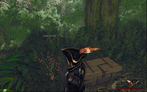 The local pepper is more like a weed than a vegetable. - Fire Peppers - Maracai Bay - Quests - Risen 2: Dark Waters - Game Guide and Walkthrough