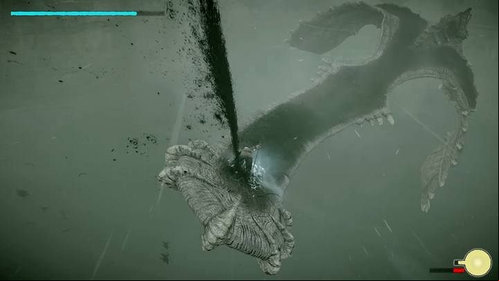 A vulnerable area on the opponents tail - Colossus 5 - Avion | Shadow of the Colossus Walkthrough - Walkthrough - Shadow of the Colossus Game Guide