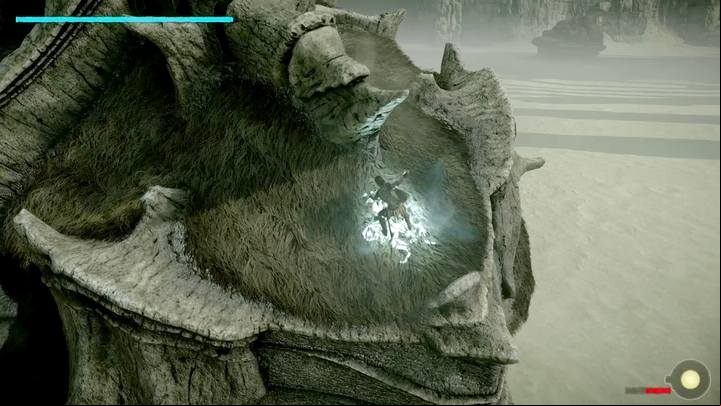 The vital points are found on top of the opponents head and next to its tail - Colossus 2 - Quadratus | Shadow of the Colossus Walkthrough - Walkthrough - Shadow of the Colossus Game Guide