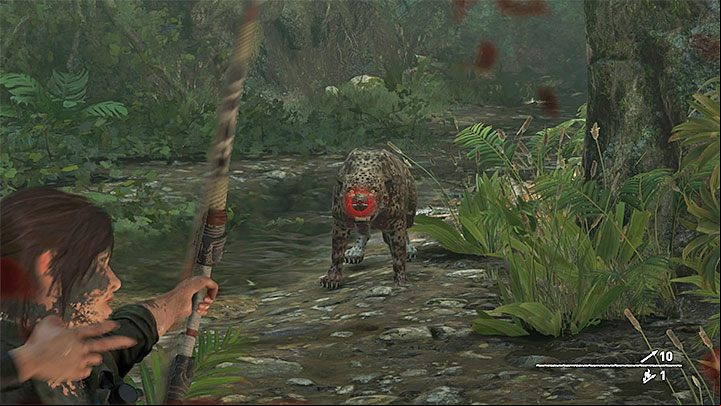 Its important to notice that in order to win the fight, you only have to kill one jaguar - Fighting the jaguars and reaching Jonah in Peruvian Jungle - Rough Landing - Peruvian Jungle - Shadow of the Tomb Raider Game Guide