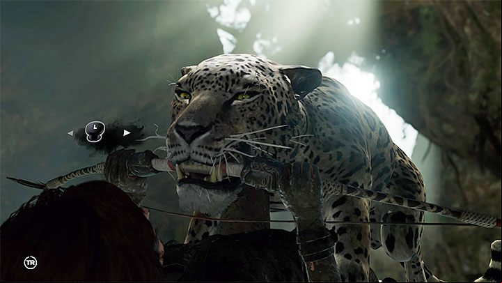 If one of the jaguars knocks you down, a QTE sequence will commence - Fighting the jaguars and reaching Jonah in Peruvian Jungle - Rough Landing - Peruvian Jungle - Shadow of the Tomb Raider Game Guide