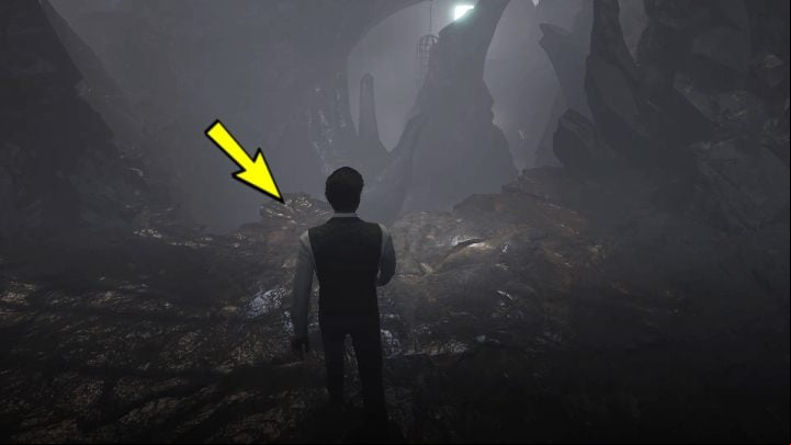 3 - Sherlock Holmes The Awakened: The Cave - Chapter 6 - Wetlands - Sherlock Holmes The Awakened Walkthrough