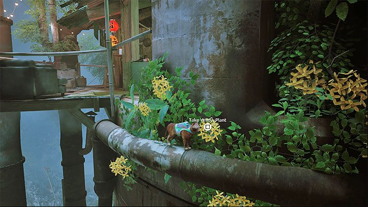 Yellow Plant is hidden next to the bar - Stray: Badges - list of all - Secrets and Collectibles - Stray Guide, Walkthrough