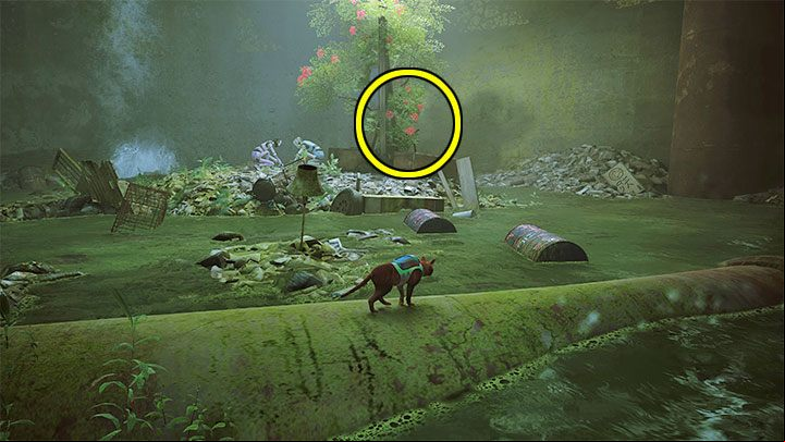 Red Plant is found below the village - Stray: Badges - list of all - Secrets and Collectibles - Stray Guide, Walkthrough