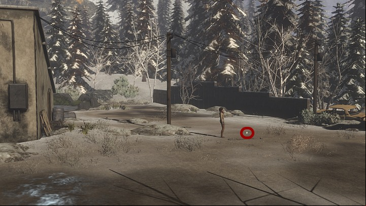 Since the guard has left his post, go there to investigate - Get some booze for the watcher - Chapter eight - Syberia 3 Game Guide