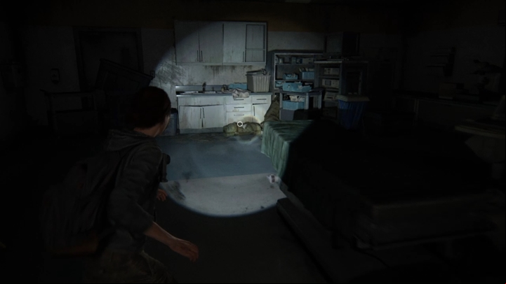 After the cut-scenes, you will see another flashback with Ellie - The Last of Us 2: St. Marys Hospital, Seattle Day 2 Ellie walkthrough - Seattle Day 2 - Ellie - The Last of Us 2 Guide
