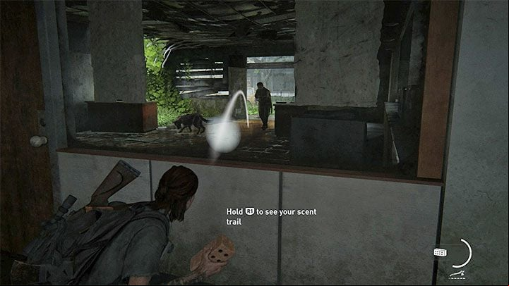 If you dont respond properly after the dog starts tracking Ellie, it could lead to her being detected - The Last of Us 2: Dogs guide - Basics - The Last of Us 2 Guide