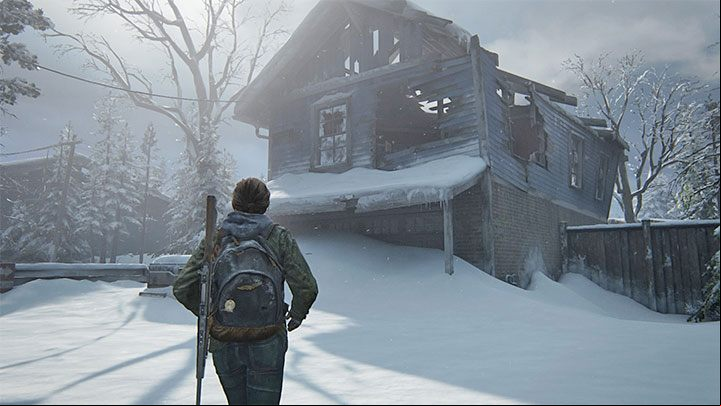 Its a collectors trading card - a collectible - The Last of Us 2: Patrol - collectibles, artefacts, coins - Jackson - The Last of Us 2 Guide