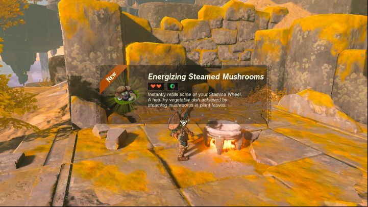 You can also prepare potions at a bonfire - Zelda TotK: Tips and Tricks - Basics - Zelda Tears of the Kingdom Guide