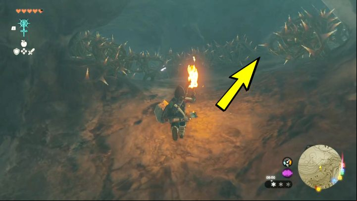 In the cave you will find vines with sharp thorns - Zelda TotK: Tulin of Rito Village - Walkthrough - Zelda Tears of the Kingdom Guide
